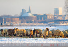 Laden Sie das Bild in den Galerie-Viewer, DÜSSELDORF KALENDER 2025 DIN A3 plus